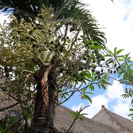 Mushroom Garden Villas Nusa Lembongan  Luaran gambar